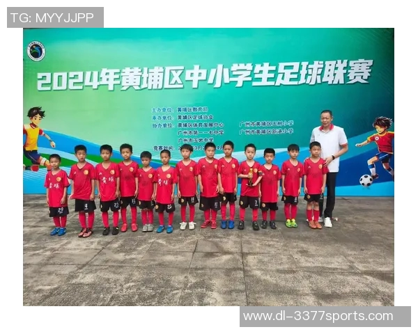 足球第一大联赛的魅力与影响力探讨及其对全球足球发展的推动作用